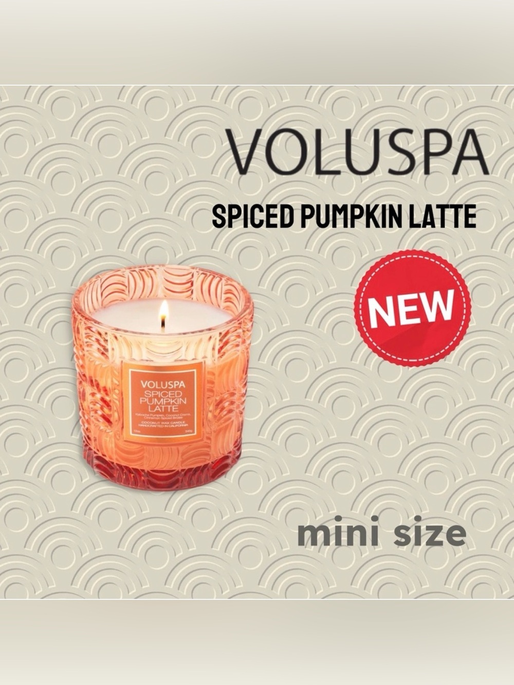 🇺🇸🆕NEW VOLUSPA |MINI | Handcrafted SPICED PUMPKIN LATTE- Mini Jar glass candle